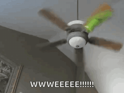 Ceiling Fan Spinning With Wweeee GIF