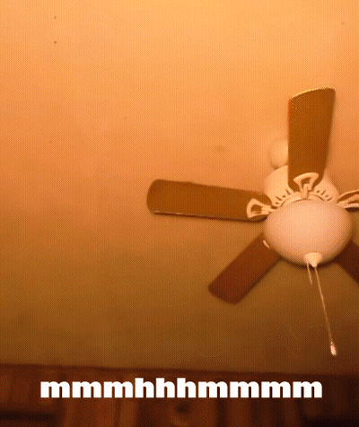 Ceiling Fan With Mmmmhhhmmmm GIF