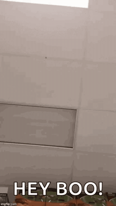 Ceiling Saying Hey Boo GIF