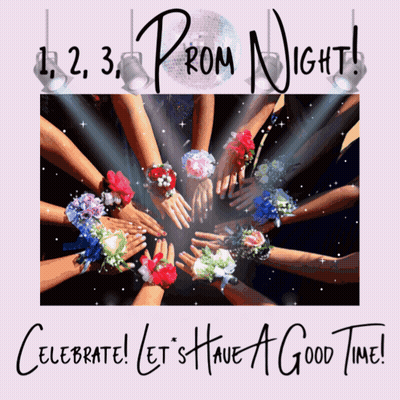 Celebrate Let's Have A Good Time Prom Night GIF