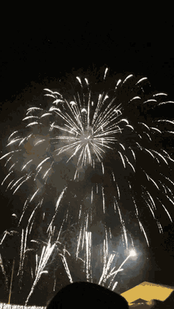 Celebrate New Year GIF