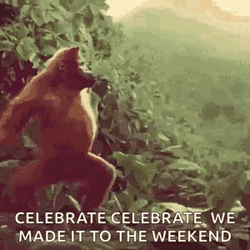 Celebrate Weekend Funny Animal Dancing Gorilla GIF