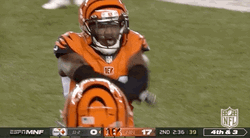 Celebrating Cincinnati Bengals GIF