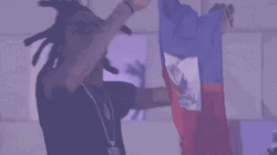 Celebrating Haitian Flag GIF