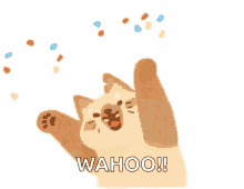 Celebration Cat Wahoo Confetti
