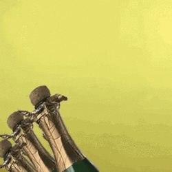 Celebration Popping Champagne GIF