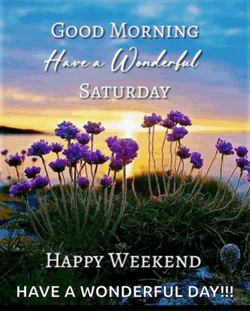 Celestra Saturday Purple Sunrise Meme GIF