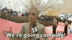 Celine Dion Were Going Camping GIF