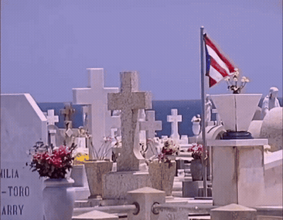 Cemetery Grave Named Toro Arry GIF