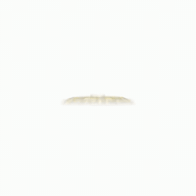 Centenario Reposado Bottle With Gold Label GIF