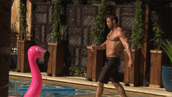 Chad Johnson Kicking Flamingo Floater GIF