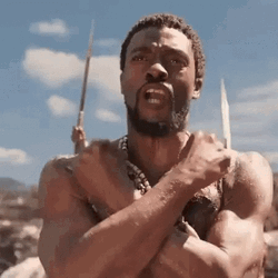 Chadwick Aaron Boseman Wakanda GIF