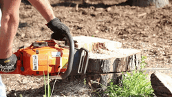 Chainsaw Power Tools Wood  GIF
