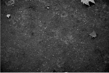 Chalk Writing On Grayscale GIF