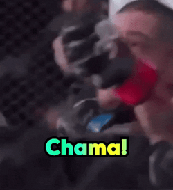 Chama Alex Poatan Pereira GIF