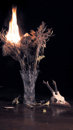 Chama On Flower Base GIF