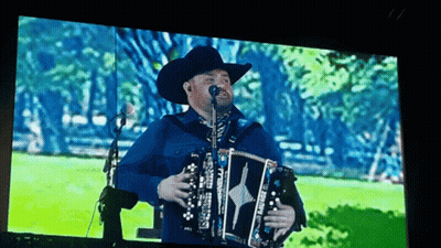 Chameleon Face In Time GIF