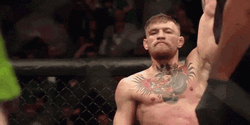 Champ Is Here Conor McGregor Raising His Arm GIF