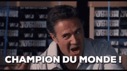 Champion Du Monde GIF
