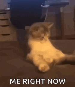 Champions Gaming GIF
