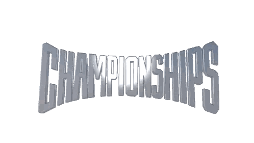 Championships In Metallic Font Sticker