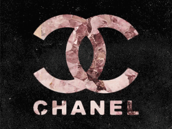 Chanel Logo Changing Flowers