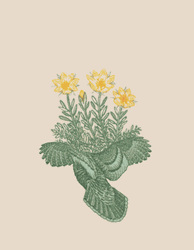Changing Flowers Animation GIF