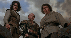 Characters Of The Princess Bride GIF
