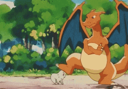 Charizard Teasing Chikorita GIF