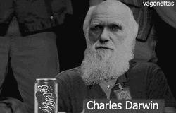 Charles Darwin Approval Thumbs Up GIF