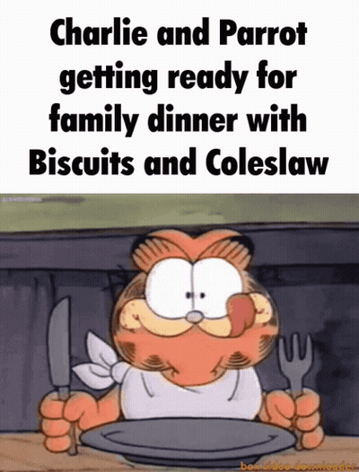 Charlie And Parrot Getting Ready For Family Dinner With Biscuits And Colesław GIF