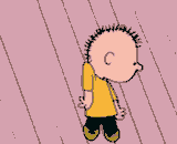Charlie Brown Cartoon Character GIF