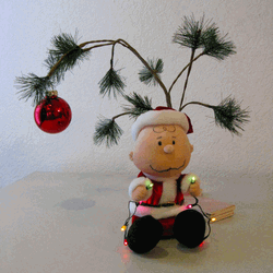 Charlie Brown Christmas Lights