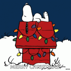 Charlie Brown Christmas Sleeping Snoopy  GIF