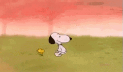 Charlie Brown Football GIF