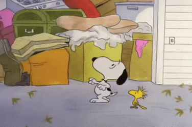 Charlie Brown Football GIF