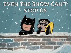 Charlie Brown Football GIF