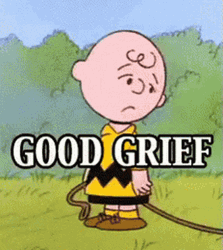 Charlie Brown Good Grief GIF