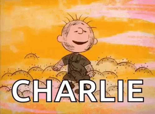 Charlie Brown Jumping In Air In Front Of Sand GIF