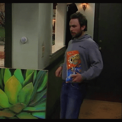 Charlie Day Dancing With Cheetos GIF