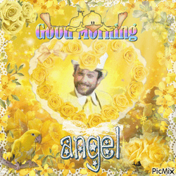 Charlie Day GIF