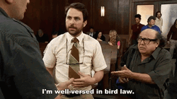 Charlie Day Well Versed Bird Law GIF
