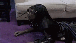 Charlie Murphy Kicked Out GIF