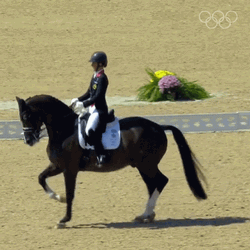 Charlotte Dujardin Riding Horse