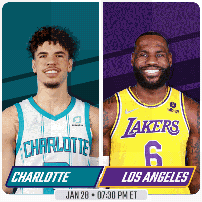 Charlotte Hornets And Lakers Playing GIF