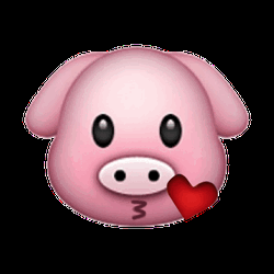 Charming Pig Kiss Emoji