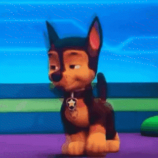 Chase From Paw Patrol Sitting On Purple Mat GIF