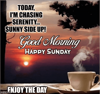 Chasing Serenity Sunny Side Up Good Morning Sunday GIF