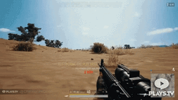 ChasingTheDrgn Take The Winner Winner Chicken Dinner GIF