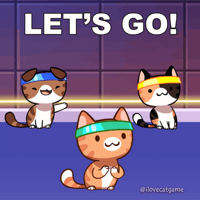 Chat Lets Go GIF